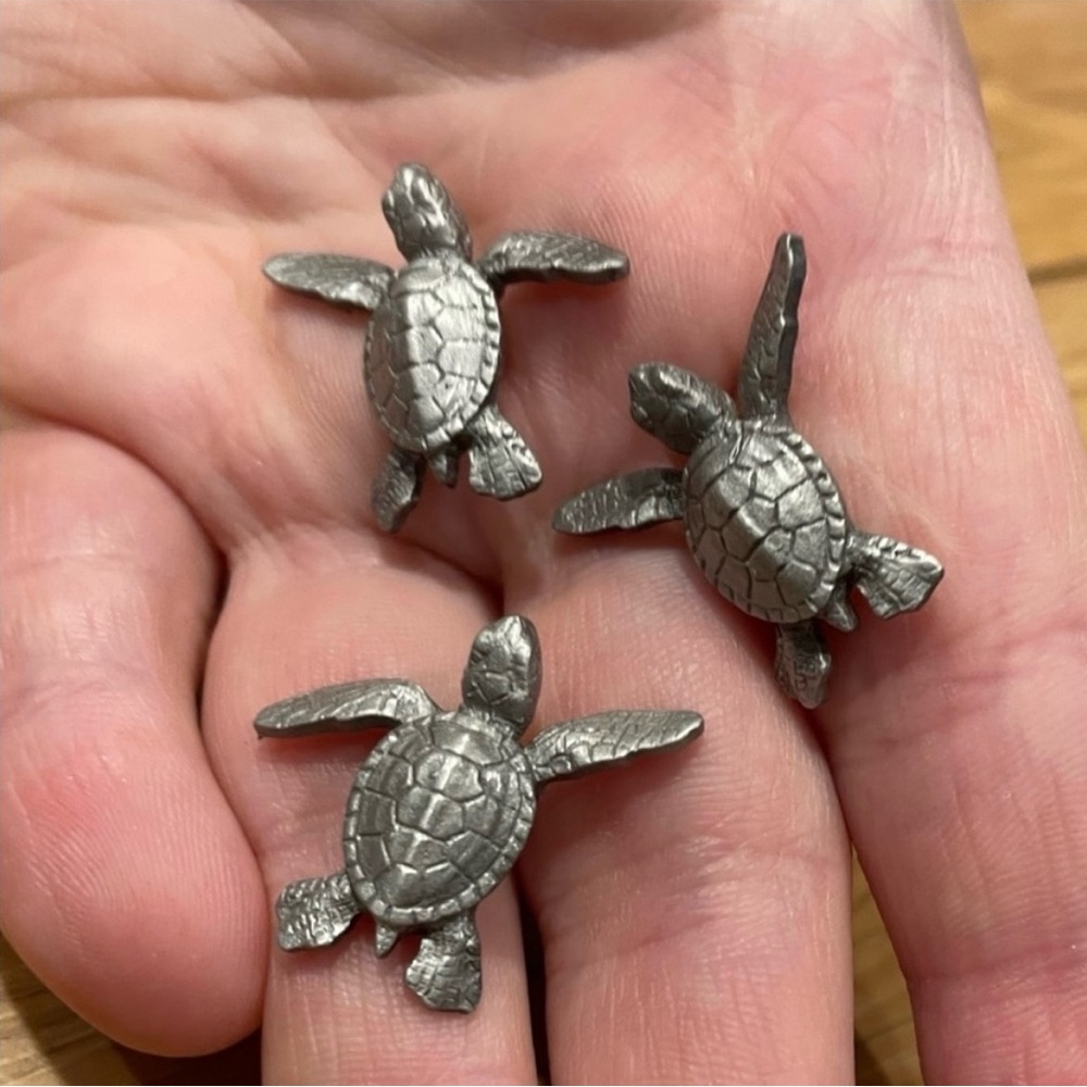 Metal Turtle Magnet Set - Picture 11 of 13